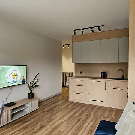 Lägenhet Premium Dabrowskiej 23 Olsztyn (Warmian-Masurian)